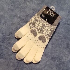 Zoy Accessories Gray and Cream Knit Gloves